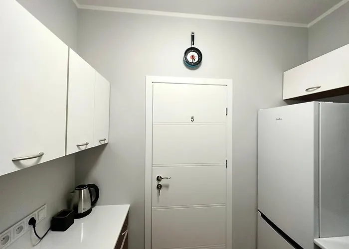 Mmrent Spring Проживание в семье *