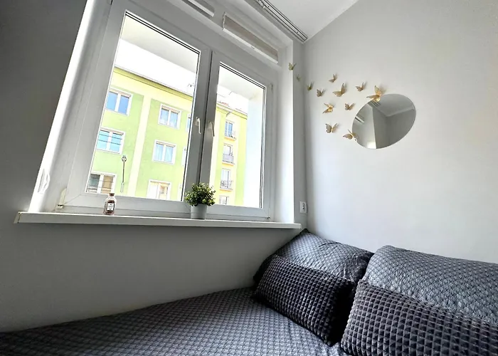 Проживание в семье Mmrent Spring