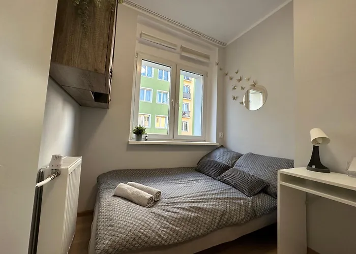 Mmrent Spring Проживание в семье *